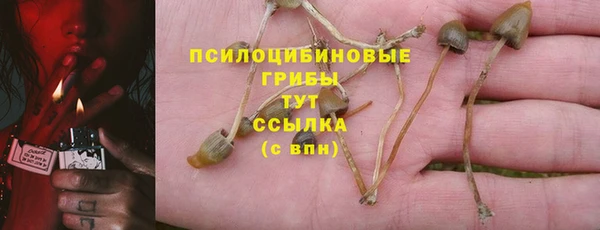 СК Пестово