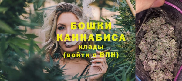 трава Пересвет