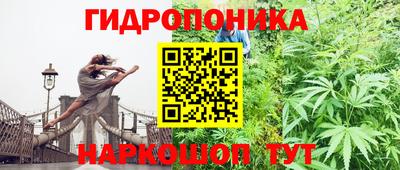 jwh Берёзовский