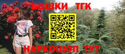 гидра Беслан