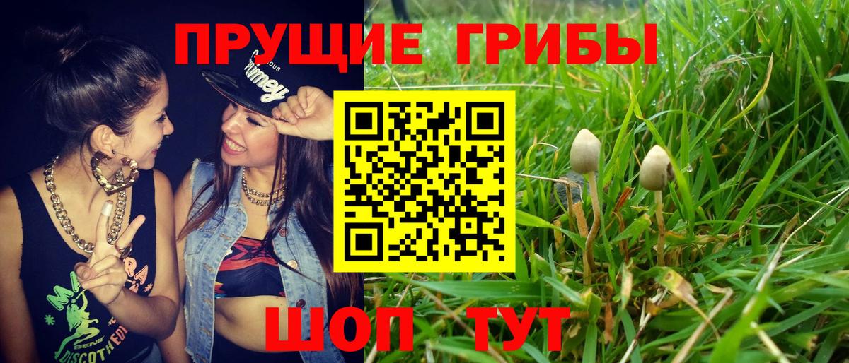 Галлюциногенные грибы MAGIC MUSHROOMS  Галлюциногенные грибы прущие грибы  Вход с VPN  Кировск 